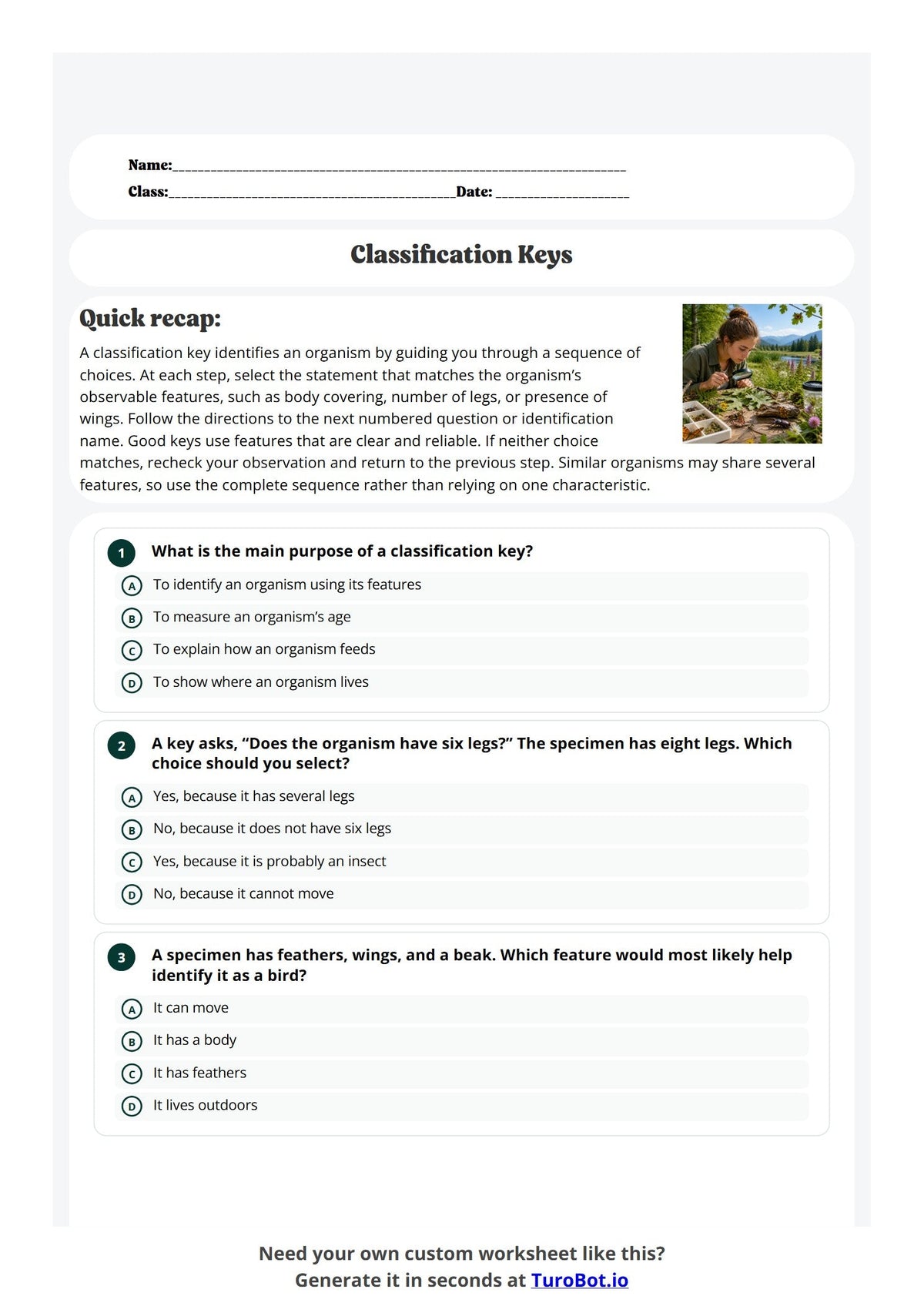 Classification Keys preview