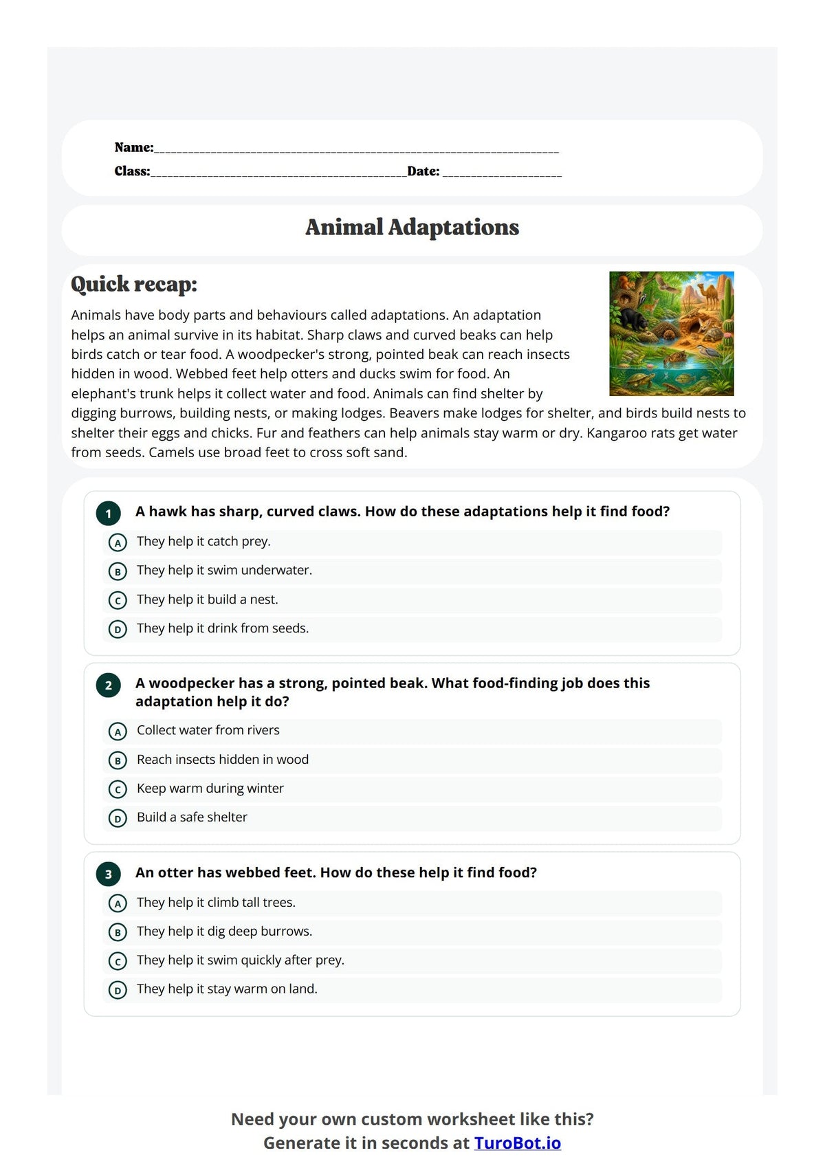Animal Adaptations preview