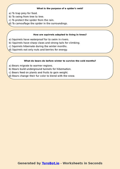 Year 5 English Multiple Choice Worksheet – Identifying Main Idea and Details