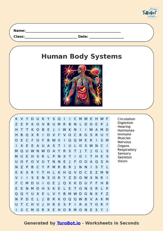 General Knowledge - Year 7 - Find a Word - Human Body Systems – Free Find a Word Worksheet