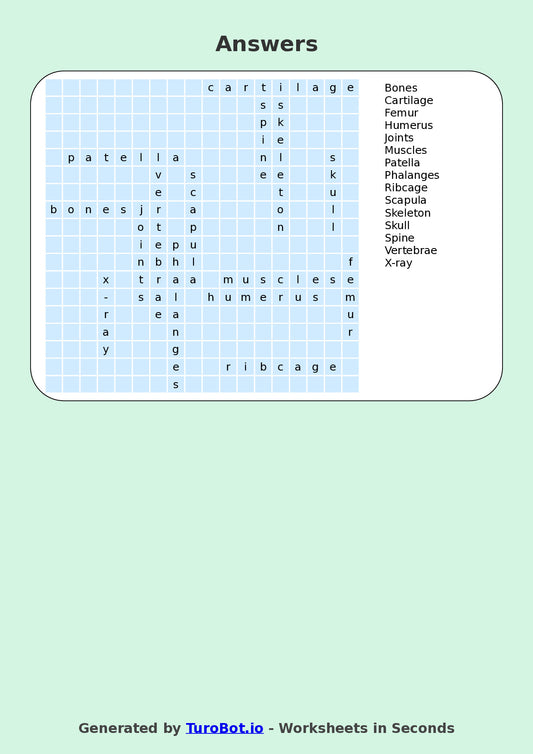 PDHPE - Year 6 - Find a Word - Human Skeleton – Free Find a Word Worksheet