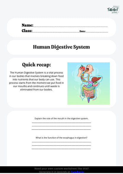 Free Worksheet - Year 6 Science The Human Digestive System Short Answer Response