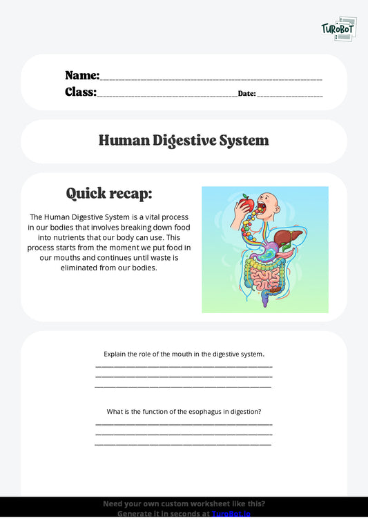 Free Worksheet - Year 6 Science The Human Digestive System Short Answer Response