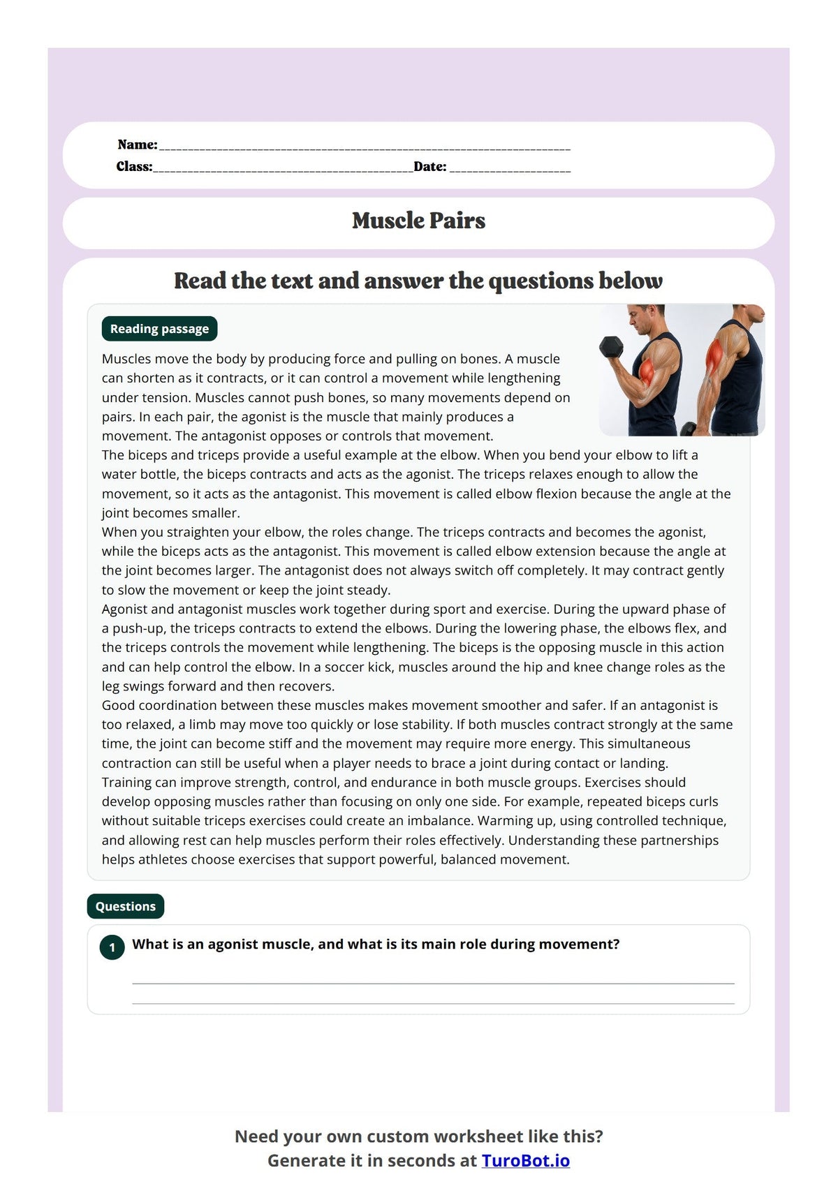 Free Year 8 Worksheet - Muscle Pairs preview