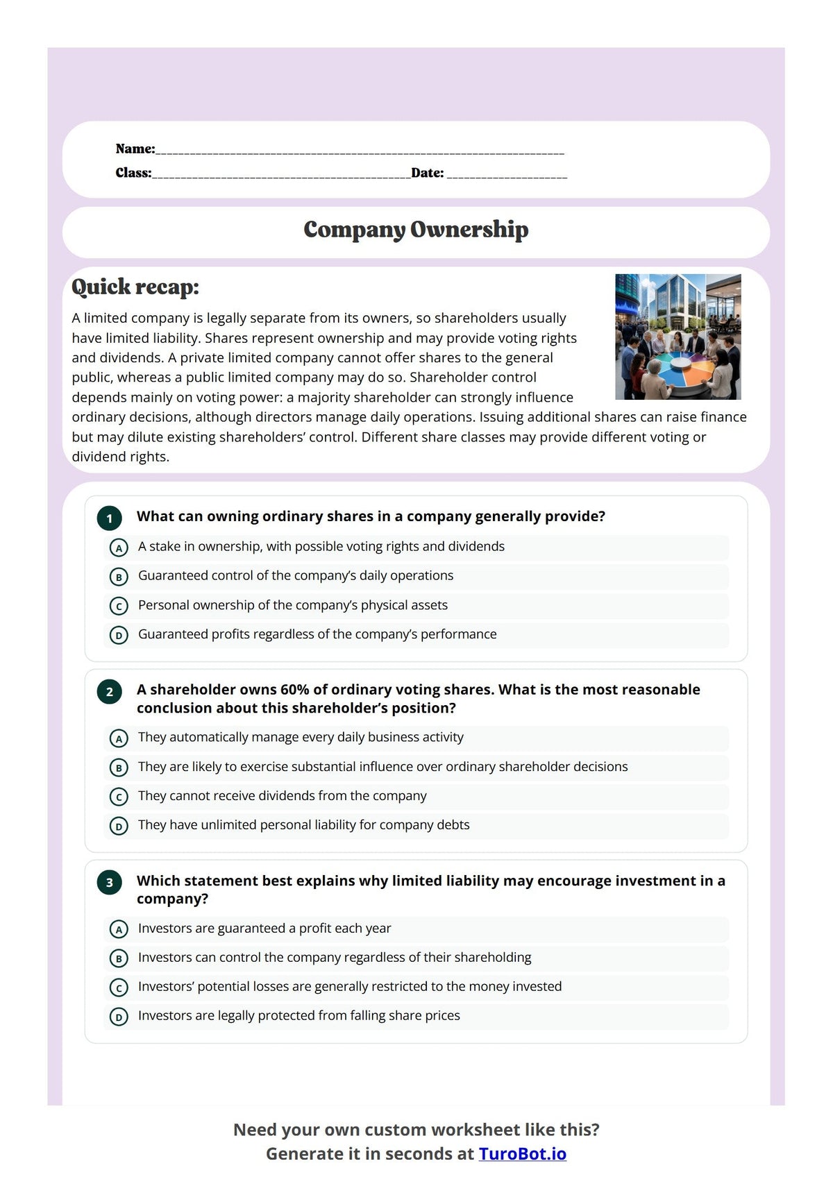Free Year 11 Worksheet - Company Ownership preview