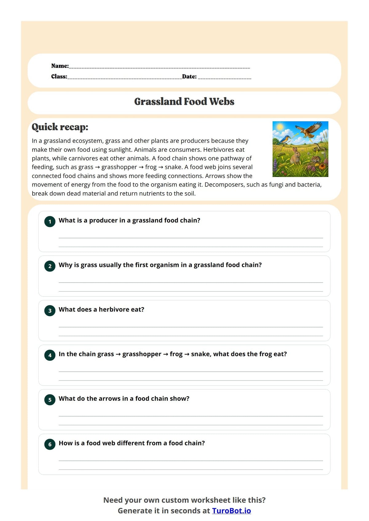 Grassland Food Webs preview