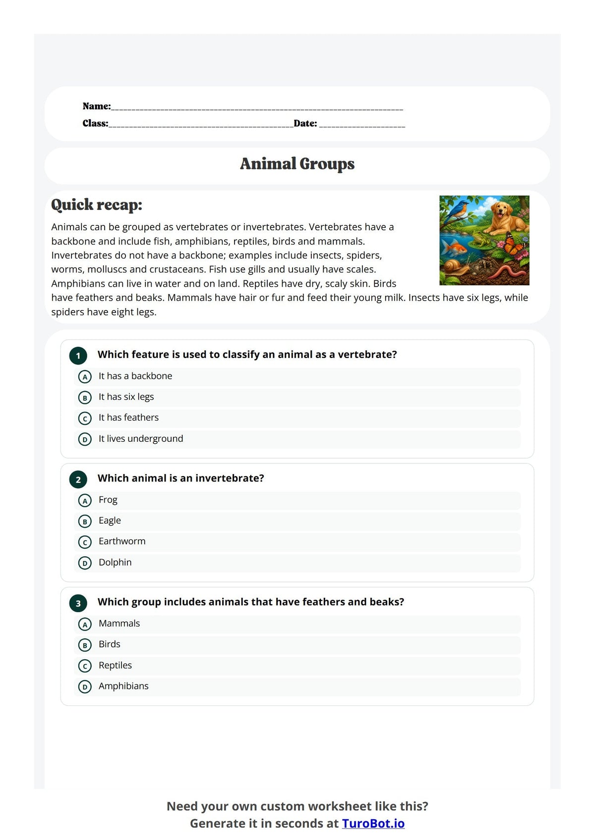 Animal Groups preview
